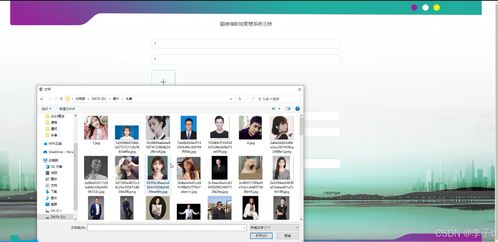 Spring Boot + Vue 貓咪咖啡館管理系統 技術融合與界面設計的現代化探索